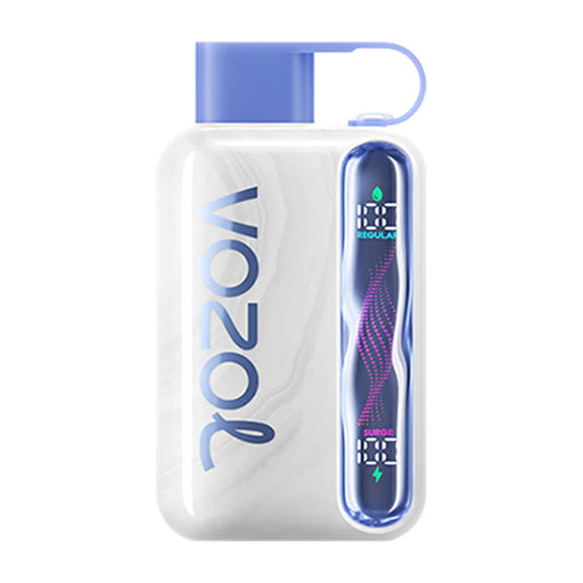 VOZOL STAR 40000 Puffs Dual Mesh LCD Screen Bulk Buy Rechargeable Disposable Vapes Wholesale