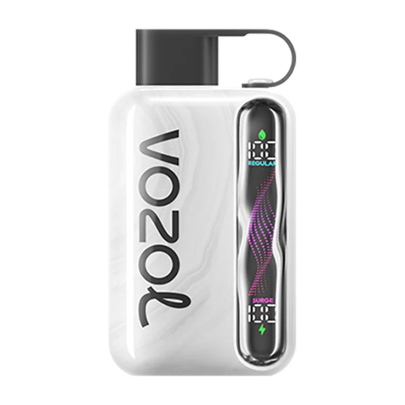 VOZOL STAR 40000 Puffs Dual Mesh LCD Screen Bulk Buy Rechargeable Disposable Vapes Wholesale