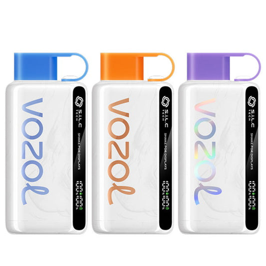 Vozol Star 12000 Vape Kit Rechargeable