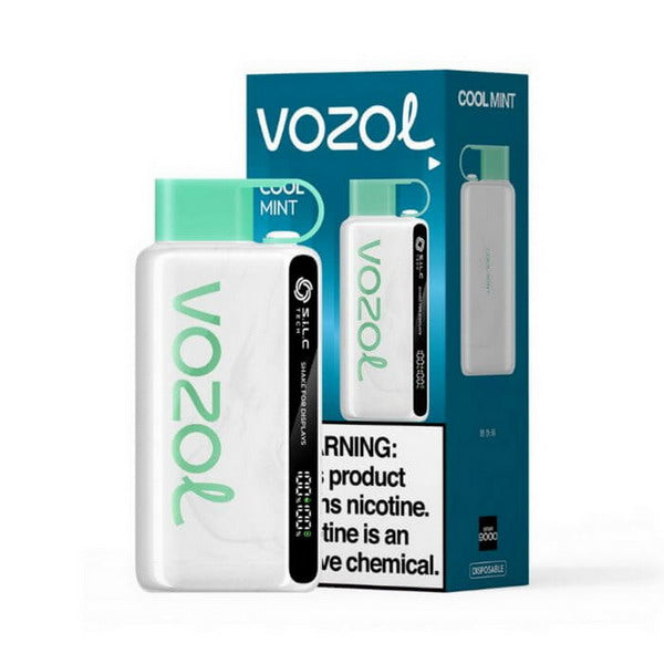 Vozol Star 12000 Vape Kit Rechargeable