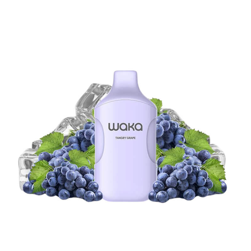 WAKA SMASH2 12000 Einweg-E-Zigarette – 20 ml E-Liquid, 5 % Nikotin | 850 mAh