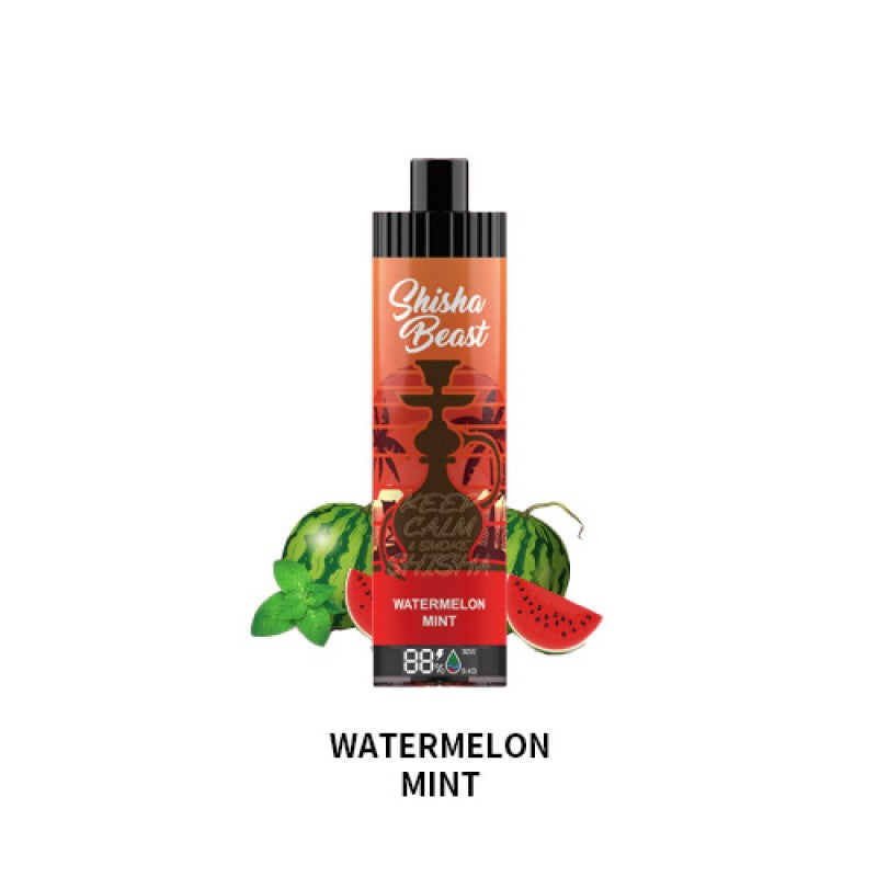 RandM Shisha Beast 20K Einweg-E-Zigarette 26 ml