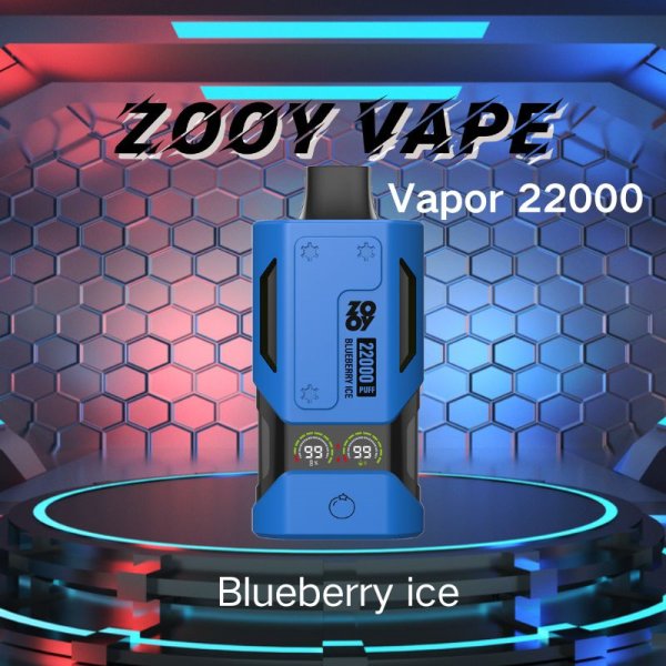 ZOOY VAPE Einweg-E-Zigarette für 22.000 Züge – 30 ml, 650 mAh, 10 Geschmacksrichtungen (0–5 %) 
