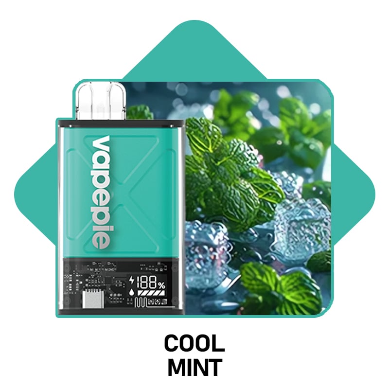 Cool Mint & VAPEPIE Ultra 12000 PUFFS (🔥Most people choose)