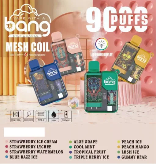 BANG BC 9000 Puffs Bulk Buy Rechargeable Disposable Vapes Wholesale