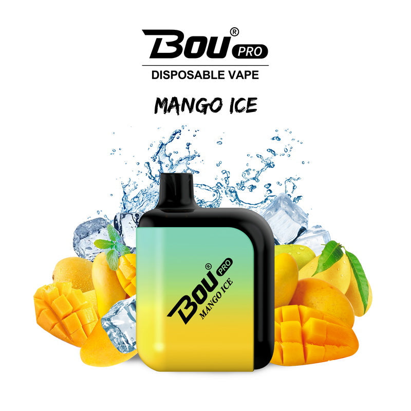Bou Pro 7000 Kit Rechargeable