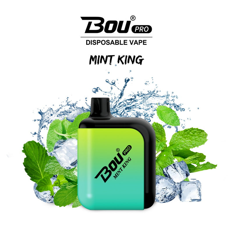 Bou Pro 7000 Kit Wiederaufladbar