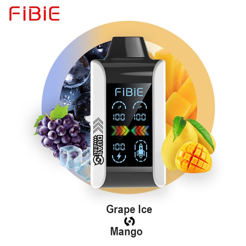 FIBIE 15000 Dual Flavors (Zwei Geschmacksrichtungen, über 100.000 positive Bewertungen) 