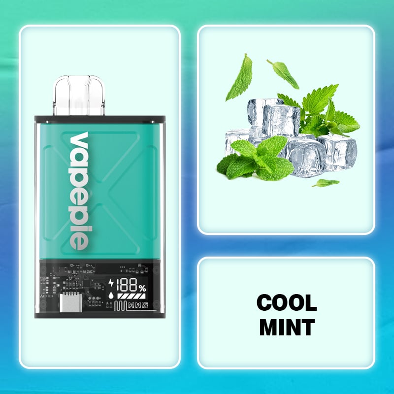 Cool Mint & VAPEPIE Ultra 12000 PUFFS (🔥Most people choose)
