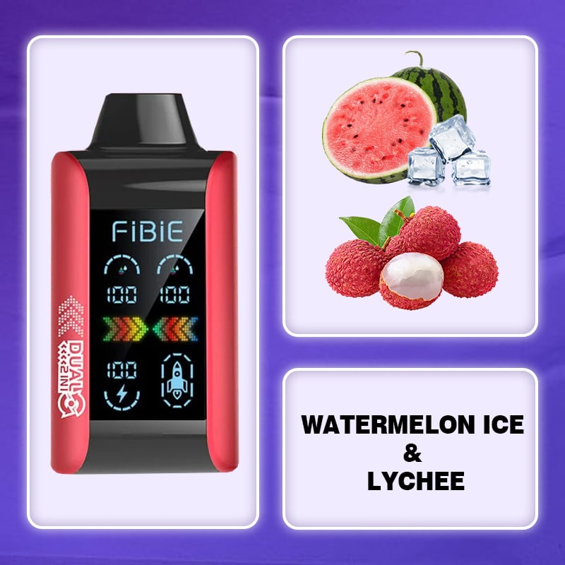WASSERMELONEN-EIS &amp; LITSCHI - FIBIE 15000 ZÜGE Einweg-E-Zigarette mit zwei Geschmacksrichtungen (15000 ZÜGE) 