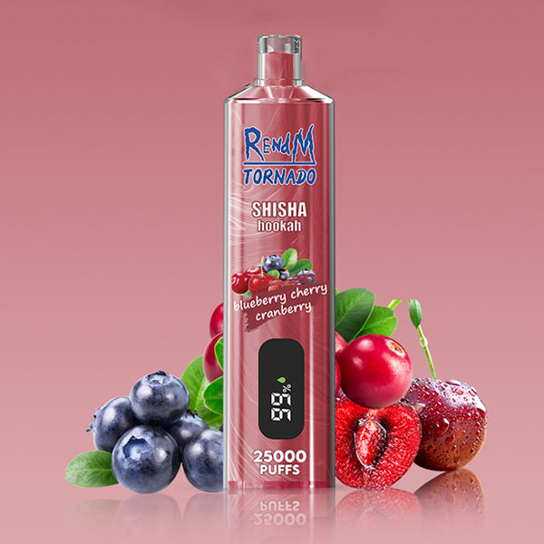 REndM Shisha 25000 Züge, 10er-Packung