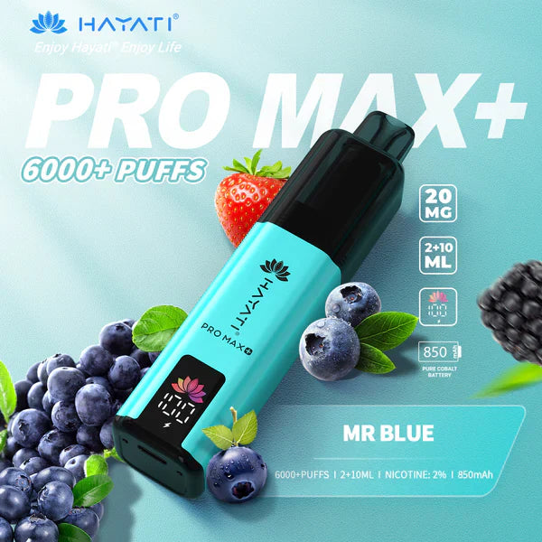 Hayati Pro Max+ 6000 Züge Einweg-E-Zigarette
