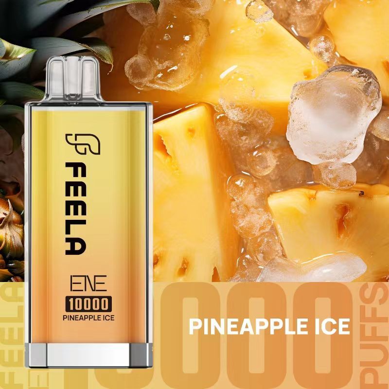 Elux 10000 Puffs Prefilled Vape Kit - Box of 10