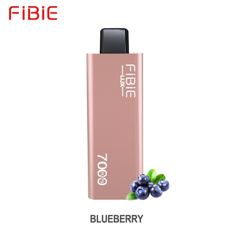 BLUEBERRY- FIBIE 7000 Züge Einweg-E-Zigarette (7000 Züge)