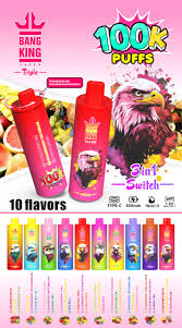 BANG KING Triple 100K 3 in 1 Switch 100000 Puffs Smart Mesh Disposable Vape Wholesale Bulk Buy DSK043