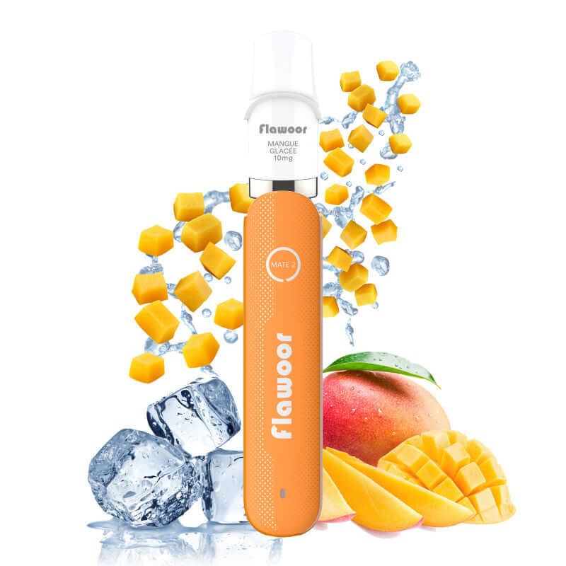FLAWOOR Mate 2 – Pod Jetable 600 Puffs