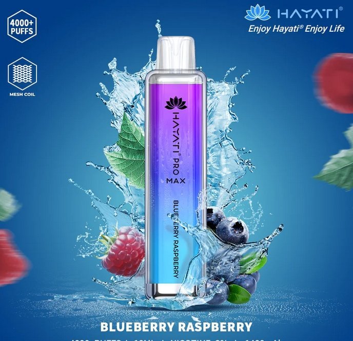 Hayati Pro Max 4000 Puffs Prefilled Vape Pod Kit - Box of 10