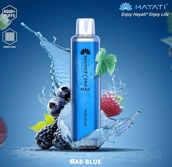Hayati Pro Max 4000 Puffs Prefilled Vape Pod Kit - Box of 10