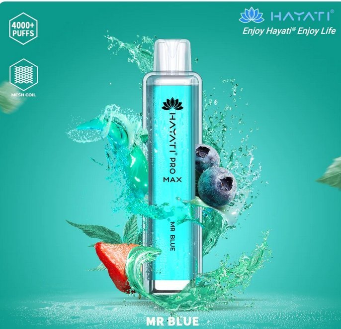 Hayati Pro Max 4000 Puffs Prefilled Vape Pod Kit - Box of 10