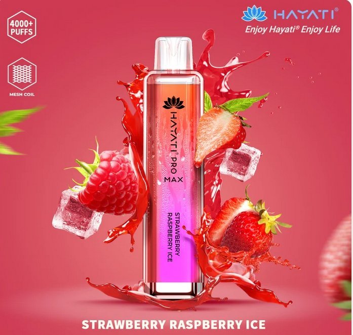 Hayati Pro Max 4000 Puffs Prefilled Vape Pod Kit - Box of 10