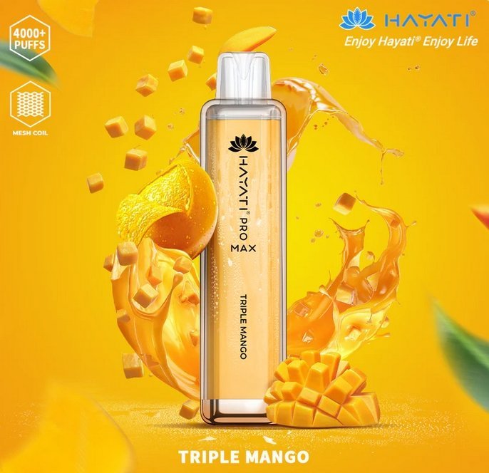Hayati Pro Max 4000 Puffs Prefilled Vape Pod Kit - Box of 10
