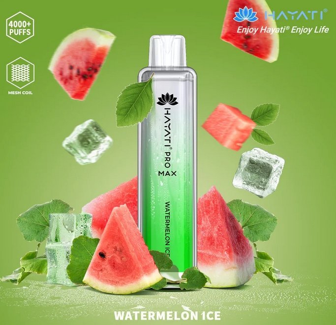 Hayati Pro Max 4000 Puffs Prefilled Vape Pod Kit - Box of 10