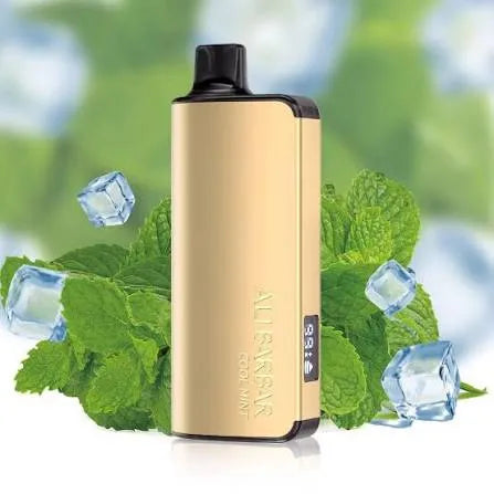 Alibarbar INGOT 9000 Puffs 10 Packs Bundle