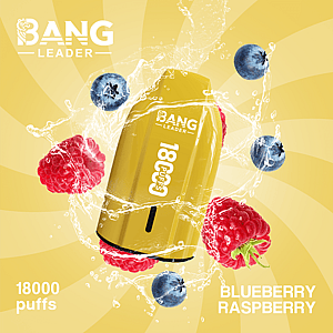 Bang Leader 18K Disposable Vape – Pure Flavor | 18.000 Puffs | Porsche Design | Smooth Taste