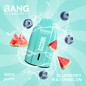Bang Leader 18K Disposable Vape – Pure Flavor | 18.000 Puffs | Porsche Design | Smooth Taste
