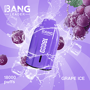 Bang Leader 18K Disposable Vape – Pure Flavor | 18.000 Puffs | Porsche Design | Smooth Taste