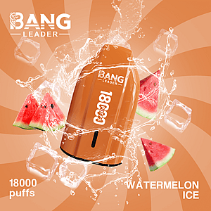 Bang Leader 18K Disposable Vape – Pure Flavor | 18.000 Puffs | Porsche Design | Smooth Taste