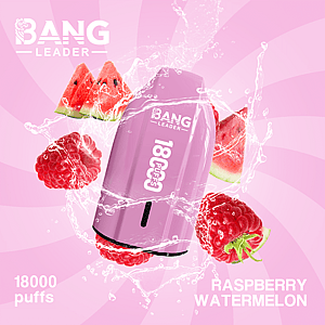 Bang Leader 18K Disposable Vape – Pure Flavor | 18.000 Puffs | Porsche Design | Smooth Taste