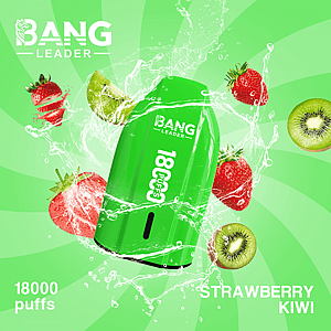 Bang Leader 18K Disposable Vape – Pure Flavor | 18.000 Puffs | Porsche Design | Smooth Taste