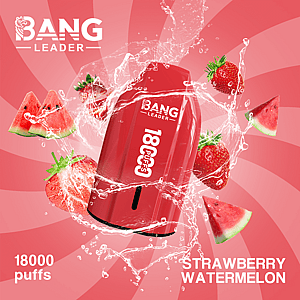 Bang Leader 18K Disposable Vape – Pure Flavor | 18.000 Puffs | Porsche Design | Smooth Taste