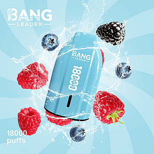 Bang Leader 18K Disposable Vape – Pure Flavor | 18.000 Puffs | Porsche Design | Smooth Taste