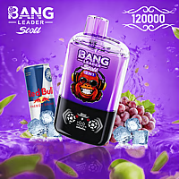 Bang Leader 120K Dual-Flavor Pod | Magnetic Slide Switch | 120.000 Puffs | Fresh Swap Technology Disposable Vape