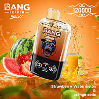 Bang Leader 120K Dual-Flavor Pod | Magnetic Slide Switch | 120.000 Puffs | Fresh Swap Technology Disposable Vape