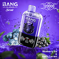 Bang Leader 120K Dual-Flavor Pod | Magnetic Slide Switch | 120.000 Puffs | Fresh Swap Technology Disposable Vape