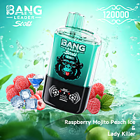 Bang Leader 120K Dual-Flavor Pod | Magnetic Slide Switch | 120.000 Puffs | Fresh Swap Technology Disposable Vape