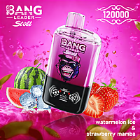 Bang Leader 120K Dual-Flavor Pod | Magnetic Slide Switch | 120.000 Puffs | Fresh Swap Technology Disposable Vape