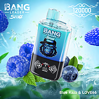 Bang Leader 120K Dual-Flavor Pod | Magnetic Slide Switch | 120.000 Puffs | Fresh Swap Technology Disposable Vape