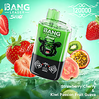 Bang Leader 120K Dual-Flavor Pod | Magnetic Slide Switch | 120.000 Puffs | Fresh Swap Technology Disposable Vape