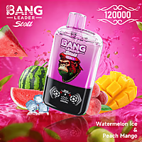 Bang Leader 120K Dual-Flavor Pod | Magnetic Slide Switch | 120.000 Puffs | Fresh Swap Technology Disposable Vape