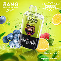 Bang Leader 120K Dual-Flavor Pod | Magnetic Slide Switch | 120.000 Puffs | Fresh Swap Technology Disposable Vape