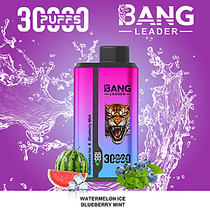 Bang Leader 30K – Einweg-E-Zigarette mit zwei Geschmacksrichtungen