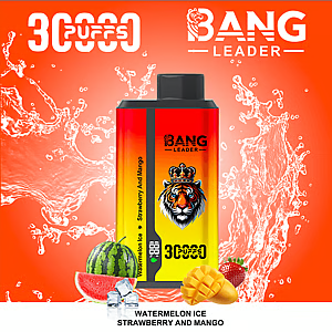 Bang Leader 30K – Einweg-E-Zigarette mit zwei Geschmacksrichtungen
