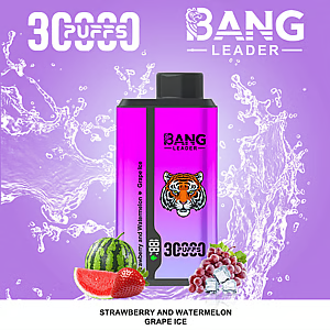 Bang Leader 30K – Einweg-E-Zigarette mit zwei Geschmacksrichtungen