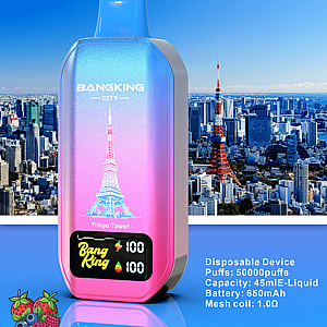 Bang King 50K City Edition Disposable Vape – 50.000 Puffs | World Landmark Flavor Collection