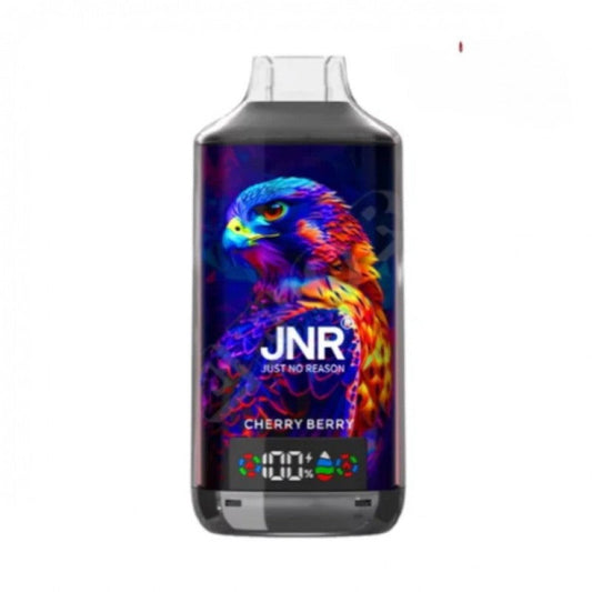 JNR 18000 Puffs Vape  Pen E Cigarette  24ml 950mAh  11 Flavors 18K Disposable Vape