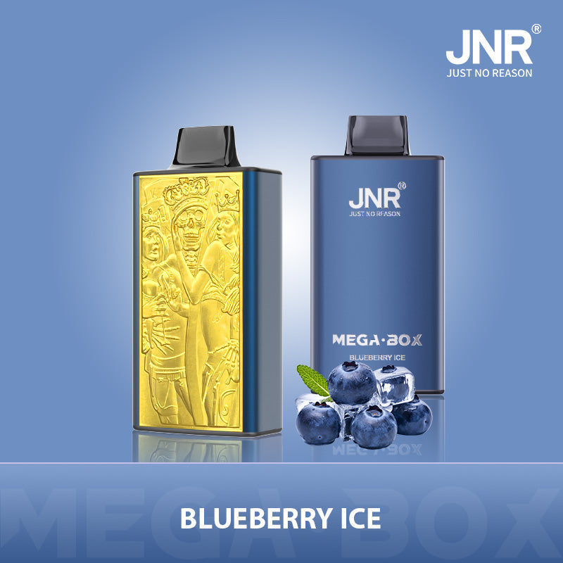 JNR Mega Box 25000 Puffs Prefilled Vape Pod Kit - Box of 10